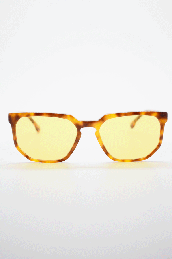 Color_Carey Claro-Amarillo (CryC-Yel)