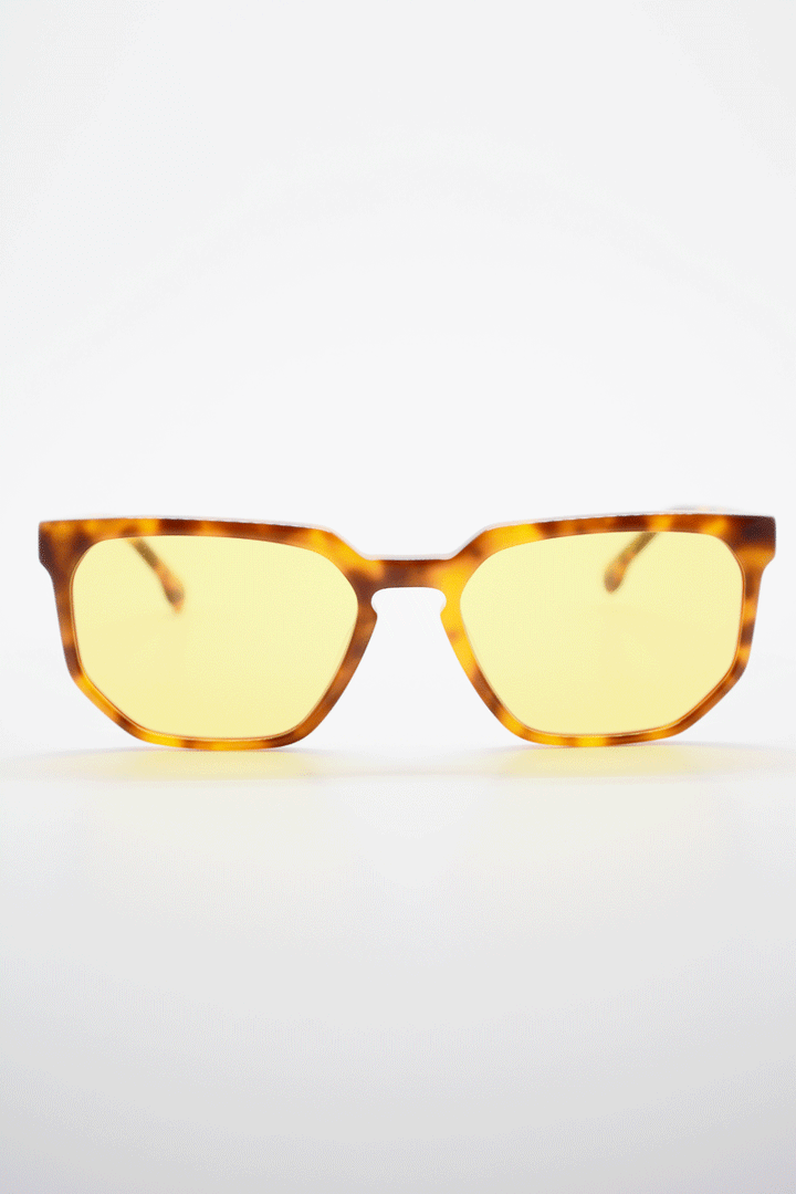 Color_Carey Claro-Amarillo (CryC-Yel)