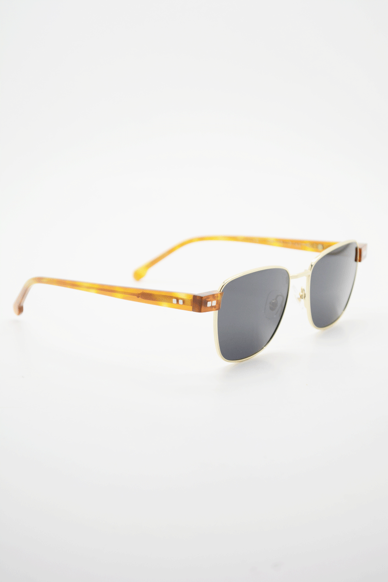 Color_Carey Claro Dorado-Negro (CryCG-Blk)